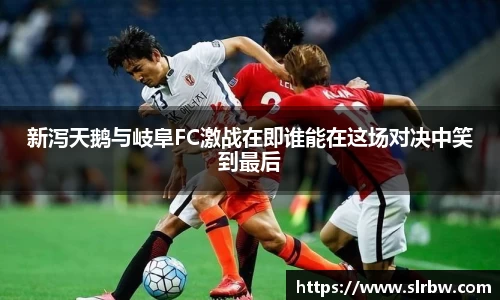 新泻天鹅与岐阜FC激战在即谁能在这场对决中笑到最后